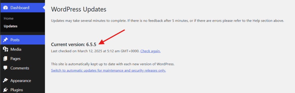 wordpress version check